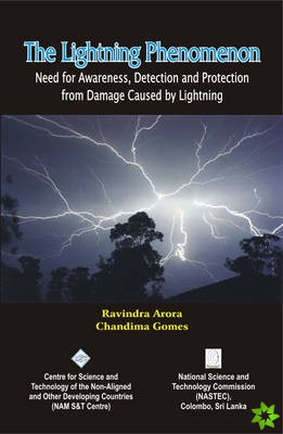 Lightning Phenomenon: Need for Awareness Detection and Protection from Damage Caused by Lightning/Nam S&t Centre