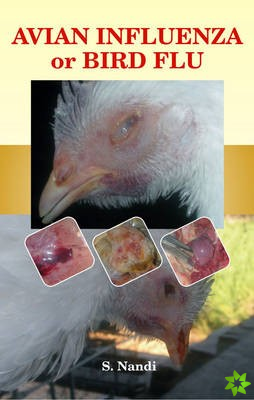 Avian Influenza or Bird Flu