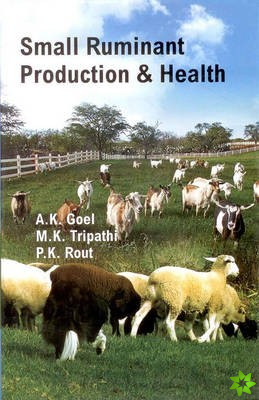 Small Ruminant Production & Health