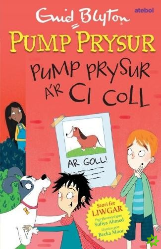 Pump Prysur ar Ci Coll
