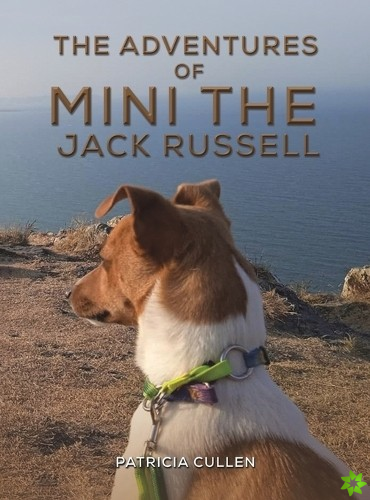 Adventures of Mini the Jack Russell