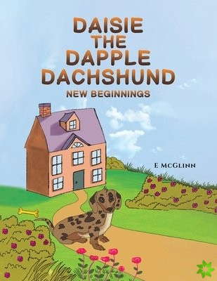 Daisie the Dapple Dachshund