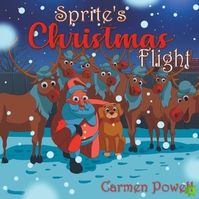 Sprite's Christmas Flight