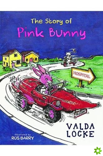 Story of Pink Bunny