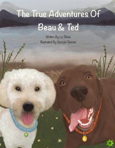 True Adventures of Beau and Ted