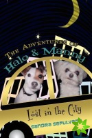 Adventures of Halo & Manny