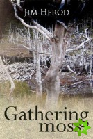 Gathering Moss