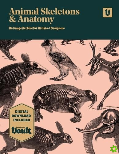 Animal Skeletons and Anatomy