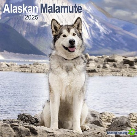 Alaskan Malamute Calendar 2025 Square Dog Breed Wall Calendar - 16 Month