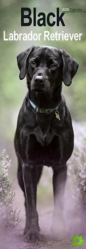 Black Labrador Retriever Slim Calendar 2025 Dog Breed Slimline Calendar - 12 Month