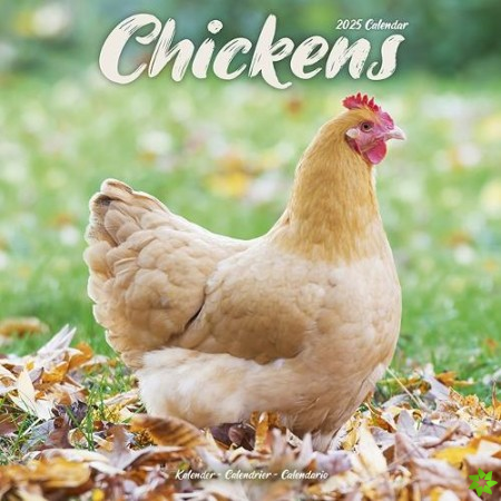 Chickens Calendar 2025 Square Farm Animals & Birds Wall Calendar - 16 Month