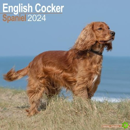 English Cocker Spaniel Calendar 2024  Square Dog Breed Wall Calendar - 16 Month