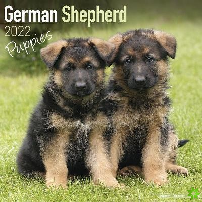 German Shepherd Puppies 2022 Wall Calendar