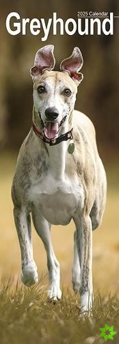 Greyhound Slim Calendar 2025 Dog Breed Slimline Calendar - 12 Month