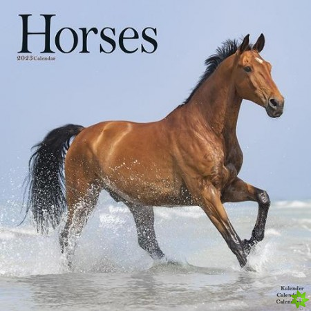 Horses 2023 Wall Calendar