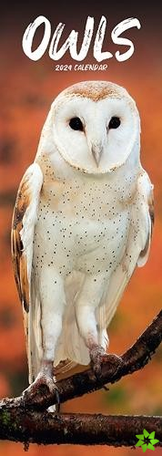 Owls Slim Calendar 2024 Bird Slimline Calendar - 12 Month