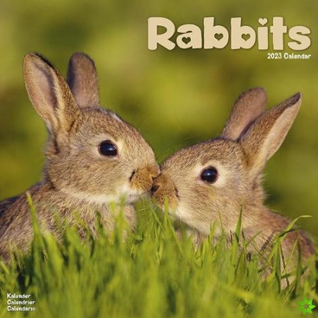 Rabbits 2023 Wall Calendar