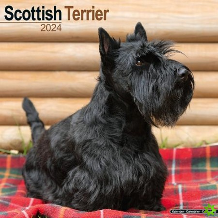 Scottish Terrier Calendar 2024  Square Dog Breed Wall Calendar - 16 Month