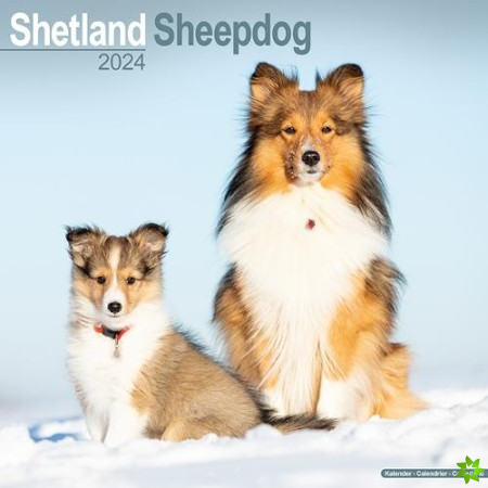 Shetland Sheepdog Calendar 2024 Square Dog Breed Wall Calendar - 16 Month