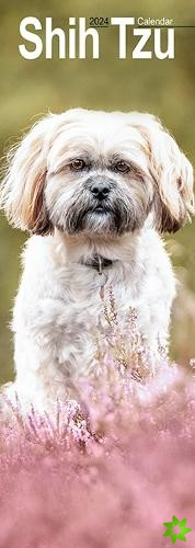 Shih Tzu Slim Calendar 2024  Dog Breed Slimline Calendar - 12 Month