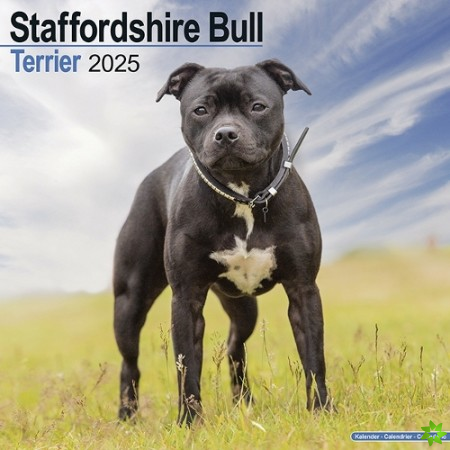 Staffordshire Bull Terrier Calendar 2025 Square Dog Breed Wall Calendar - 16 Month
