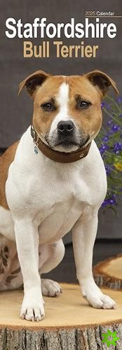 Staffordshire Bull Terrier Slim Calendar 2025 Dog Breed Slimline Calendar - 12 Month
