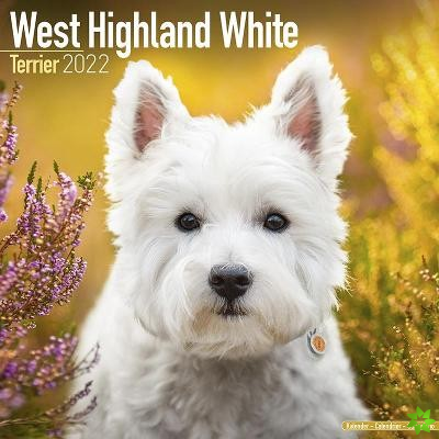 West Highland White Terrier 2022 Wall Calendar