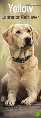Yellow Labrador Retriever Slim Calendar 2025 Dog Breed Slimline Calendar - 12 Month