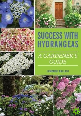 Success With Hydrangeas