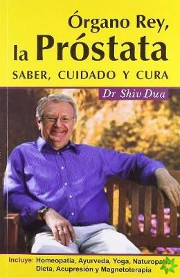 Organo Rey, La Prostata