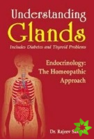 Understanding Glands