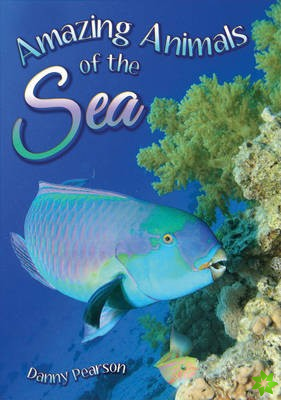 Amazing Animals of the Sea