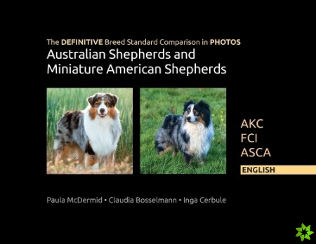 DEFINITIVE Breed Standard Comparison in PHOTOS for Australian Shepherds and Miniature American Shepherds