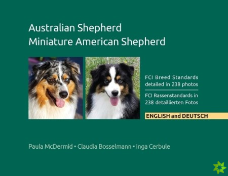 Australian Shepherd, Miniature American Shepherd