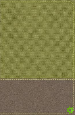KJV Study Bible for Boys Olive/Brown LeatherTouch