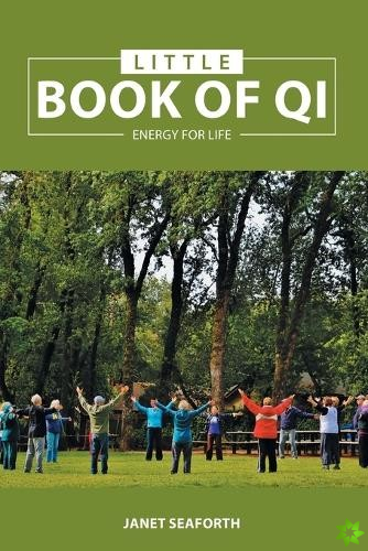 Little Book of Qi