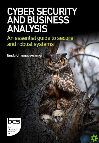 Cyber Security and Business Analysis
