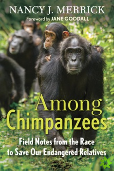 Among Chimpanzees