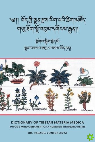 Dictionary of Tibetan Materia Medica (Bod kyi sman rdzas rig pa'i tshig mdzod)
