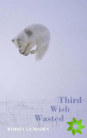 Third Wish Wasted