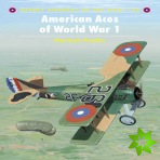 American Aces of World War I