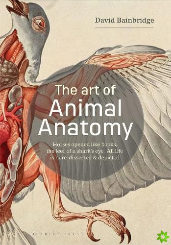 Art of Animal Anatomy