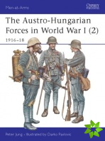 Austro-Hungarian Forces in World War I