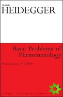 Basic Problems of Phenomenology