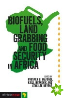 Biofuels, Land Grabbing and Food Security in Africa