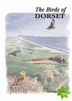 Birds of Dorset