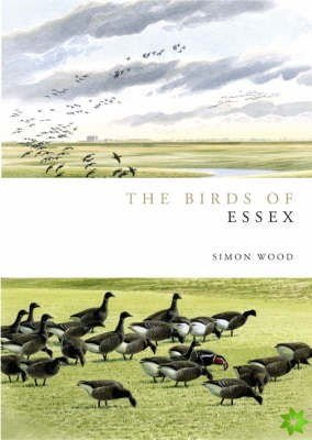 Birds of Essex