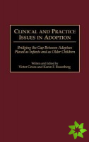 Clinical and Practice Issues in Adoption