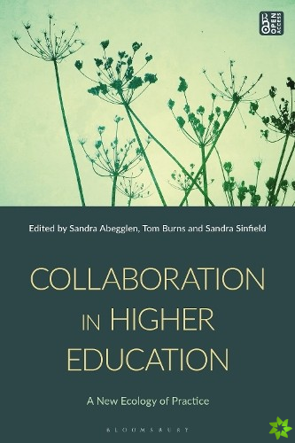 Collaboration in Higher Education