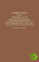Competition in the Natural Gas Pipeline Industry